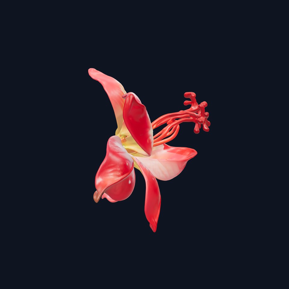 Realistic Hibiscus Flower Model Pack for Versatile Projects